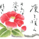 2013年2月の絵手紙エッセー『凛と咲く』