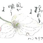 2014年6月の絵手紙エッセー『風のうた』