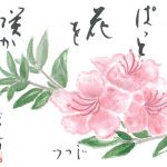 2018年6月の絵手紙エッセー『こころに花を』